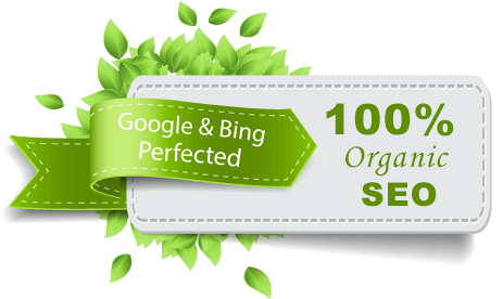 Best Organic SEO Service